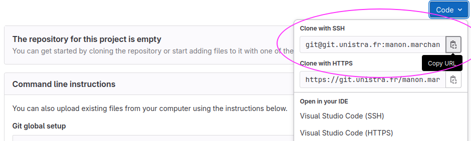 Clicking the "Copy to Clipboard" button on GitLab to obtain the repository's URL